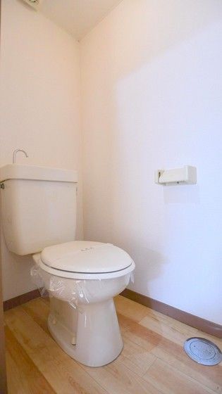 �y�g�C���z�@