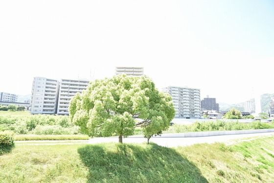 �y���]�z�@