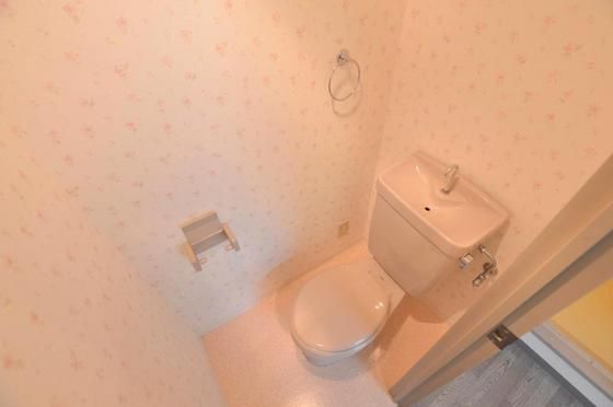 �y���̑��z�@