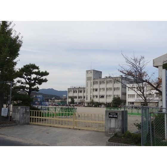 �y���Ӂz�@���w�Z