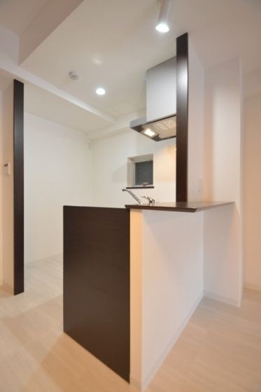 �l�C�̃J�E���^�[�L�b�`���^�C�v