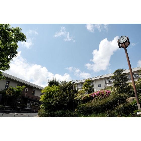 �y���Ӂz�@���Z�E����