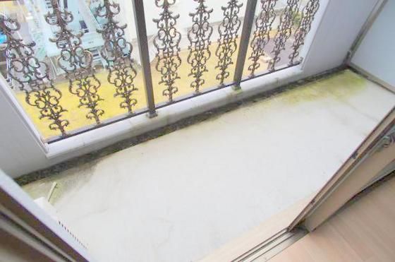 �y�o���R�j�[�z�@