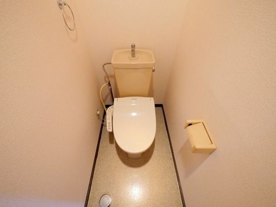 �y�g�C���z�@