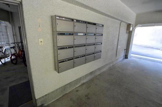 �W���|�X�g