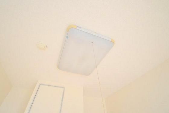 �Ɩ��t����