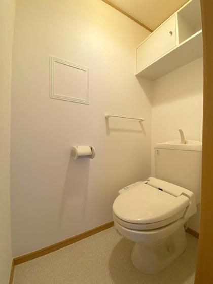 �y�g�C���z�@