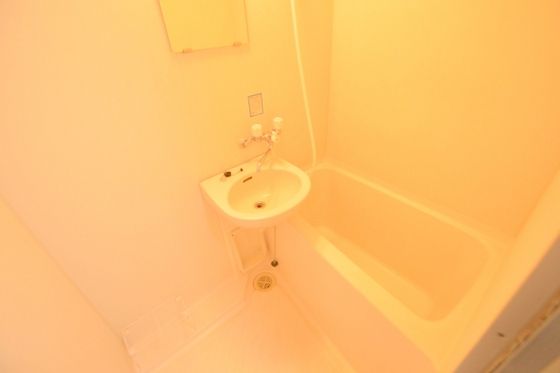 �y�o�X�z�@�������o�X�g�C����