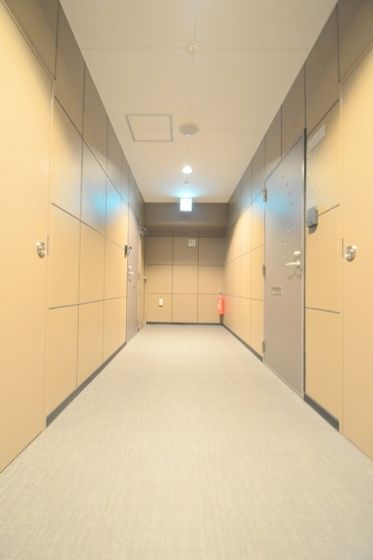 ���p�L��