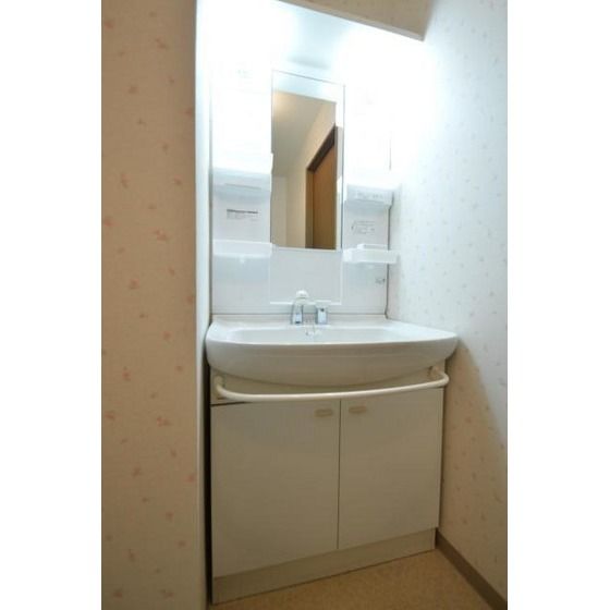 �y���ʏ��z�@�V�����v�[�h���b�T�[