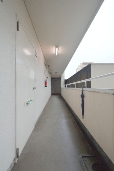 ���p�L��