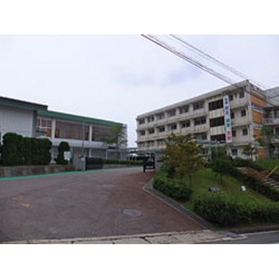 �y���Ӂz�@���Z�E����