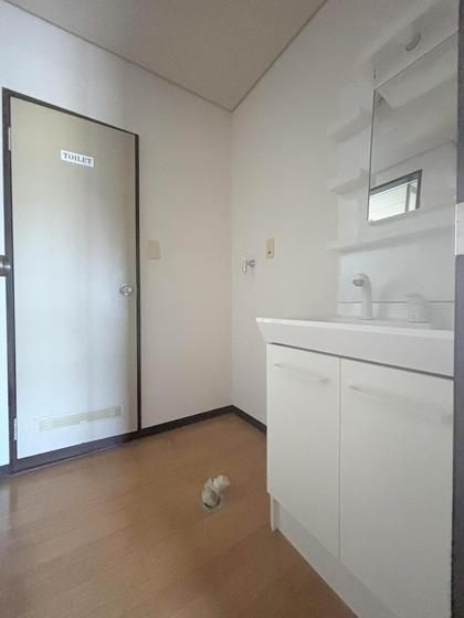 �y���ʏ��z�@