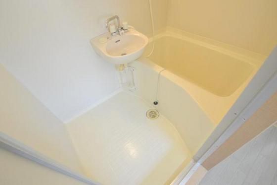 �y�o�X�z�@