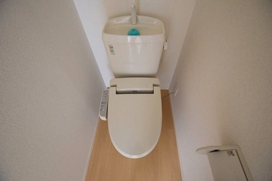 �y�g�C���z�@