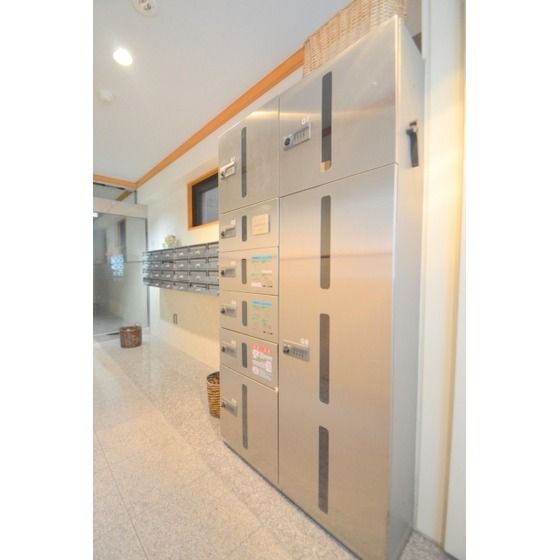 ��z�{�b�N�X