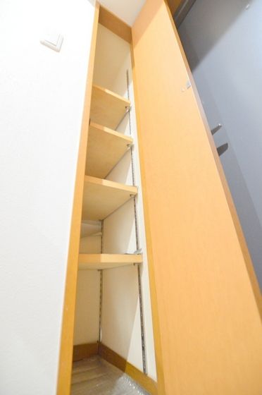 �y���̑��z�@