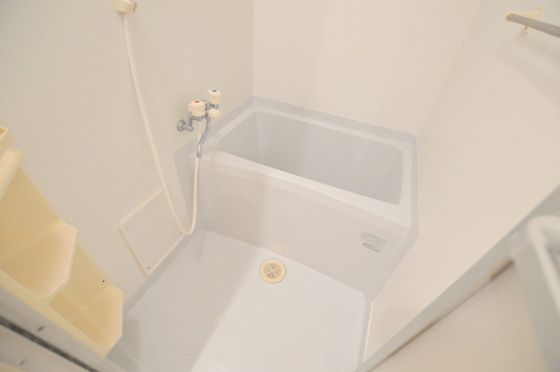 �y�o�X�z�@