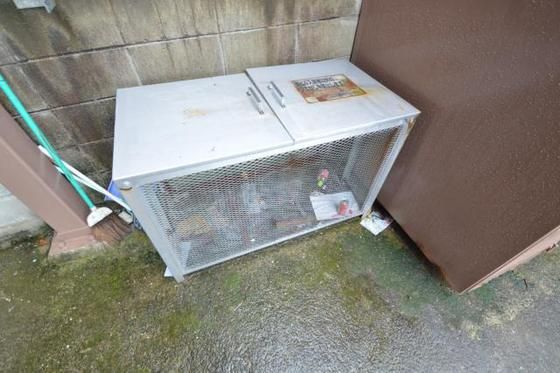 �S�~�u����