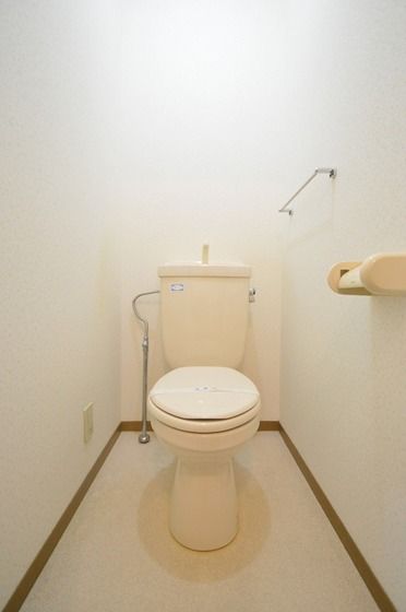 �y�g�C���z�@