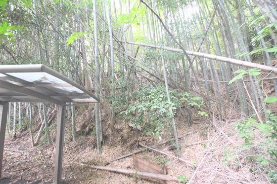 �y���]�z�@