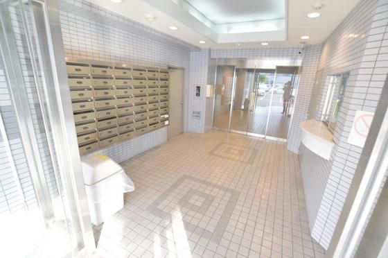 �h�ƃJ�����t��