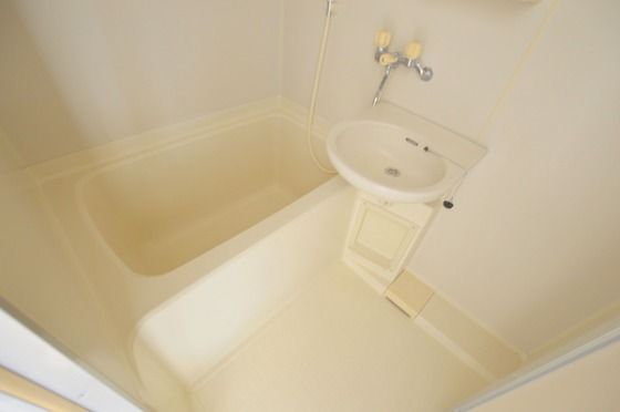 �y�o�X�z�@�������o�X�g�C����