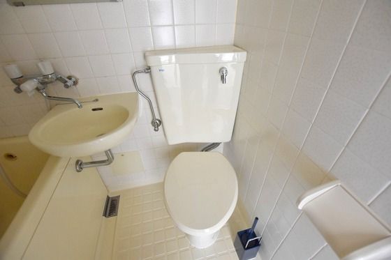 �y�g�C���z�@