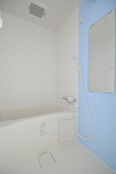 �y�o�X�z�@�A�N�Z���g�J���[���������ȉ��������C�I