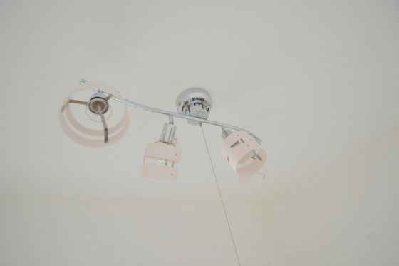 �y���̑��ݔ��z�@�������ȏƖ����t���Ă܂��_(^o^)�^