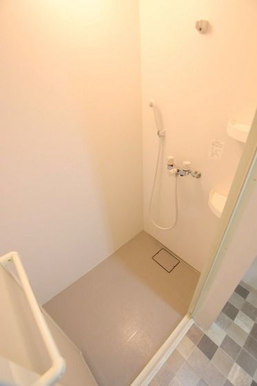 �y�o�X�z�@�V�����[���[����