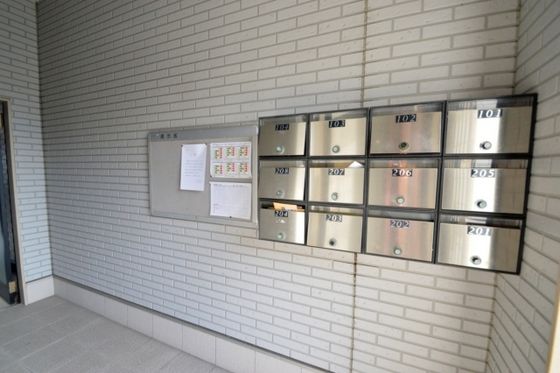 �W���|�X�g