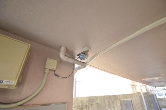 �h�ƃJ����