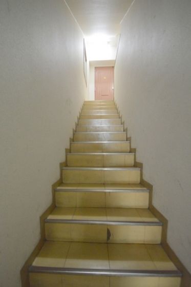 �y���̑��z�@���p�K�i�I
