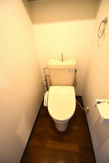 �y�g�C���z�@