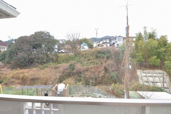 �y���]�z�@