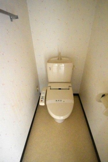 �y�g�C���z�@