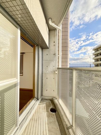 �y�o���R�j�[�z�@�o���R�j�[