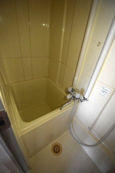 �y�o�X�z�@