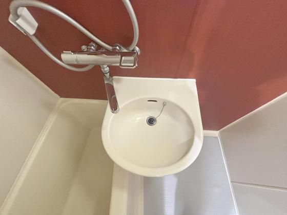 �y���ʏ��z�@�Y��ȃo�X���[��