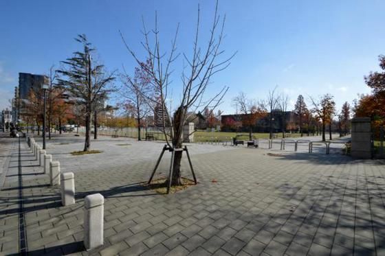 �y���Ӂz�@����