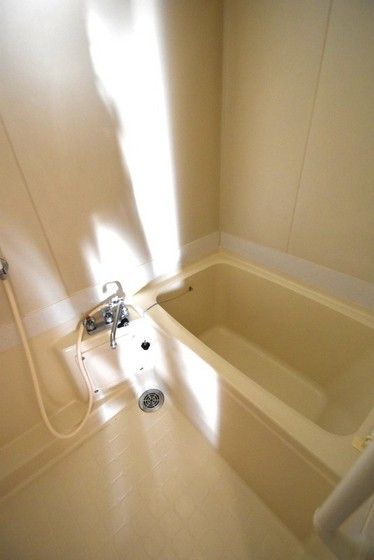 �y�o�X�z�@