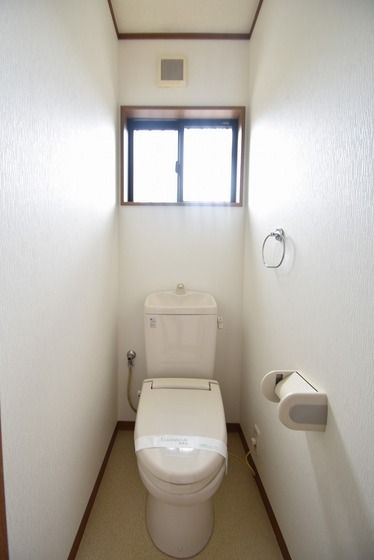 �y�g�C���z�@