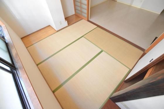 �y���̑��z�@