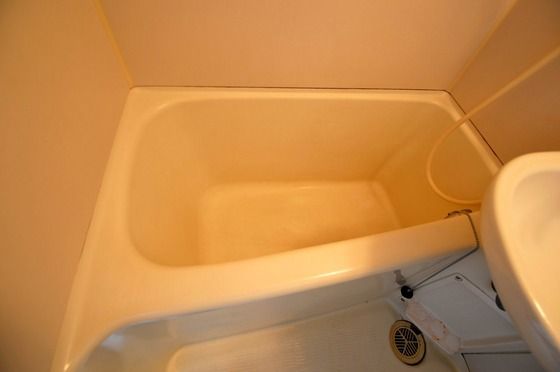 �y�o�X�z�@