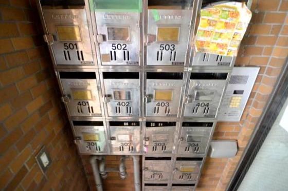 �W���|�X�g