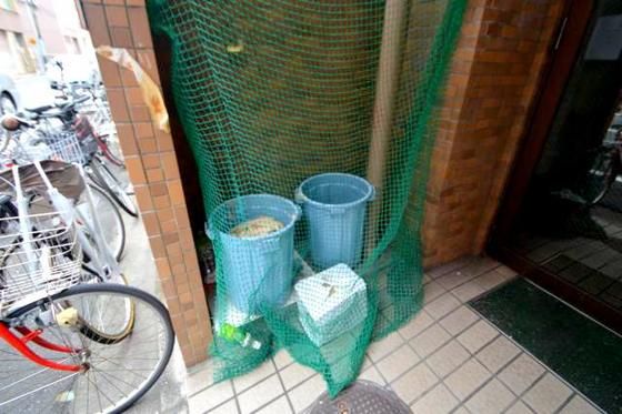 �~�n���S�~�̂ď�