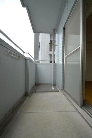 �o���R�j�[�̂��̍L���I