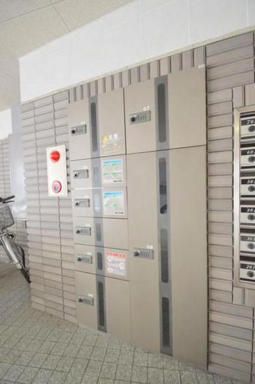 ��z�a�n�w�t�Ȃ̂ŖZ���������ו��̎�悪�\��