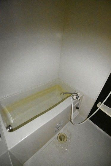 �y�o�X�z�@